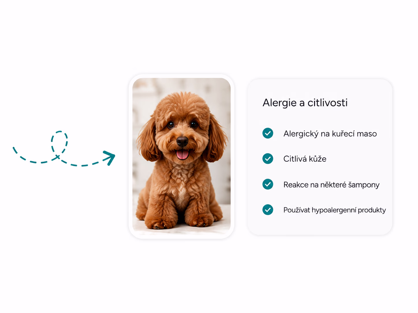 Notizen zu Allergien des Hundes
